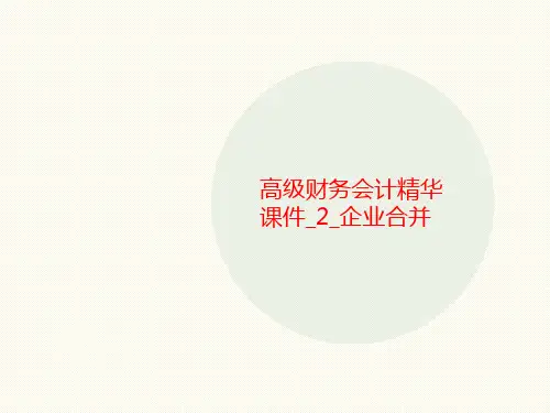 高级财务会计精华课件_2_企业合并-课件