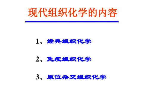现代组织化学组织化学