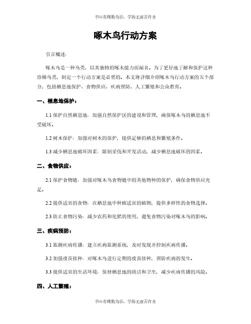 啄木鸟行动方案