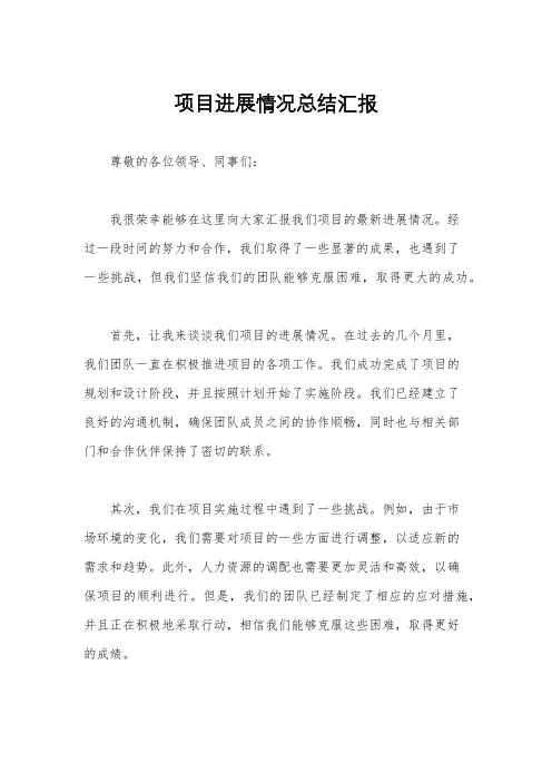 项目进展情况总结汇报