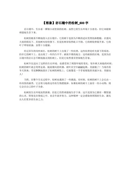 【想象】岩石缝中的松树_600字