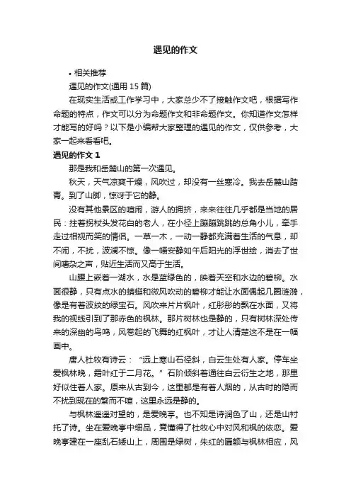 遇见的作文