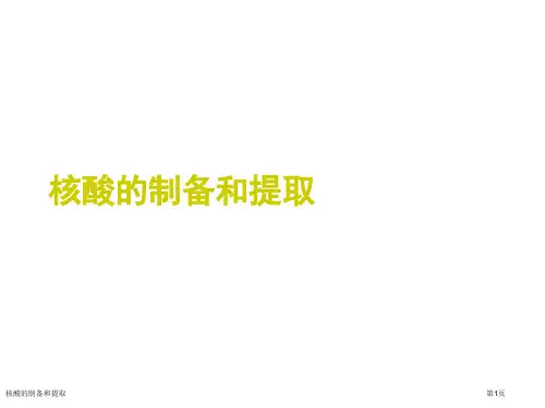 核酸的制备和提取