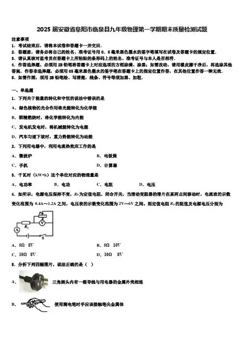 2025届安徽省阜阳市临泉县九年级物理第一学期期末质量检测试题含解析