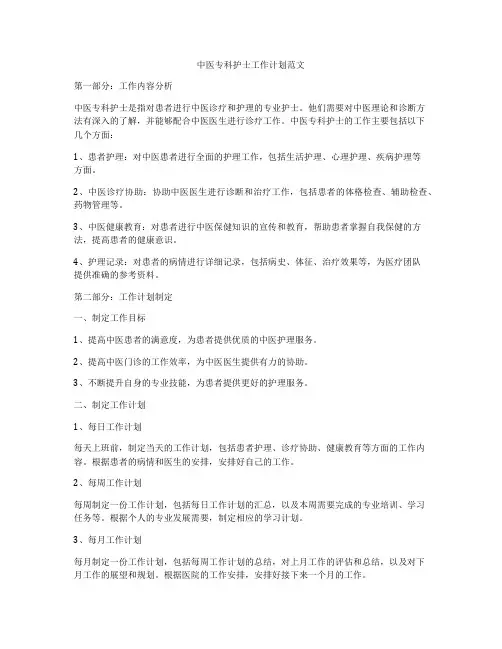 中医专科护士工作计划范文