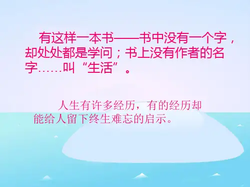 钓鱼的启示课件