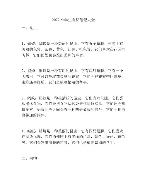 2022小学生自然笔记大全