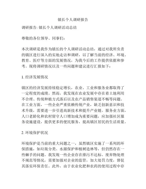 镇长个人调研报告