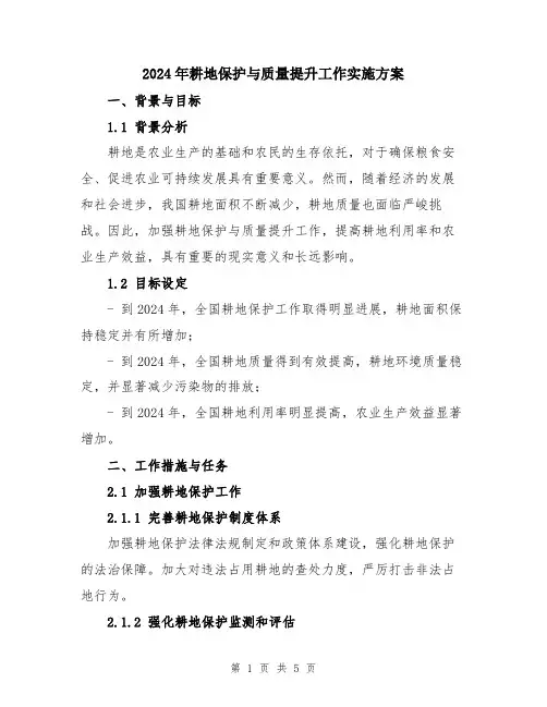2024年耕地保护与质量提升工作实施方案