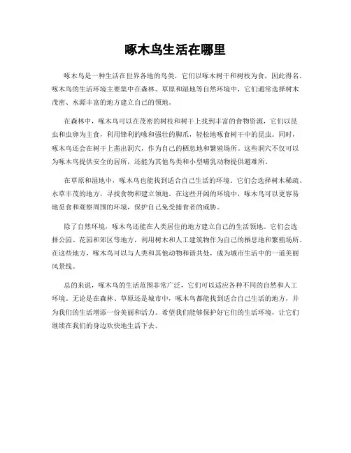 啄木鸟生活在哪里