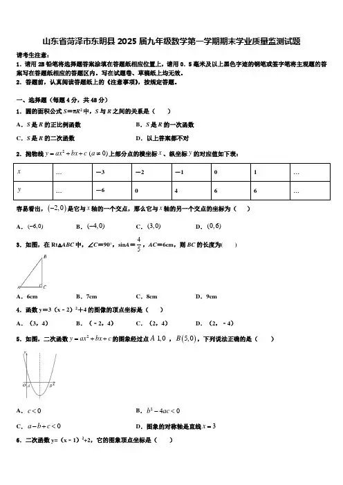 山东省菏泽市东明县2025届九年级数学第一学期期末学业质量监测试题含解析
