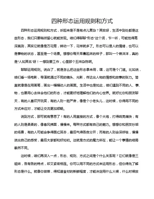 四种形态运用规则和方式