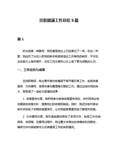 挂职期满工作总结5篇