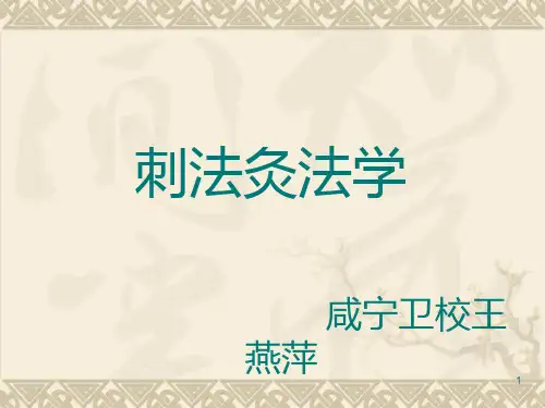 刺法灸法学王燕萍PPT演示文稿