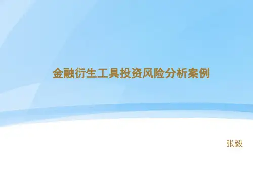 金融衍生工具投资风险分析案例