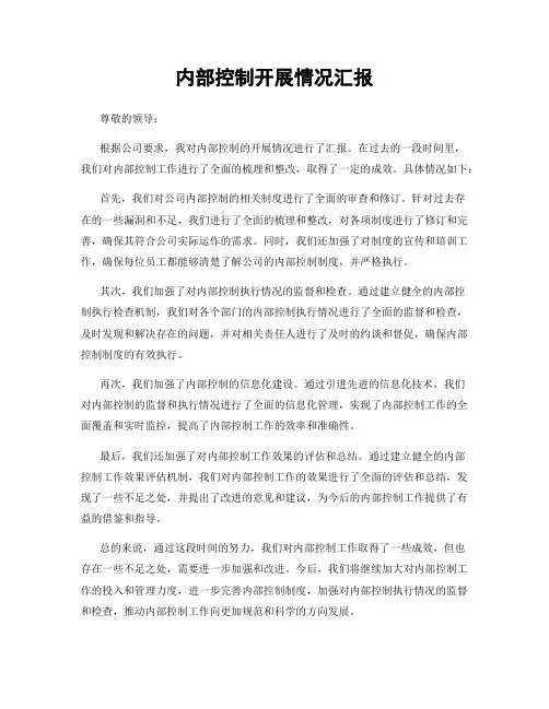 内部控制开展情况汇报