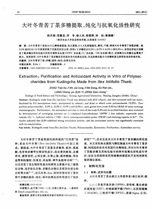 大叶冬青苦丁茶多糖提取、纯化与抗氧化活性研究