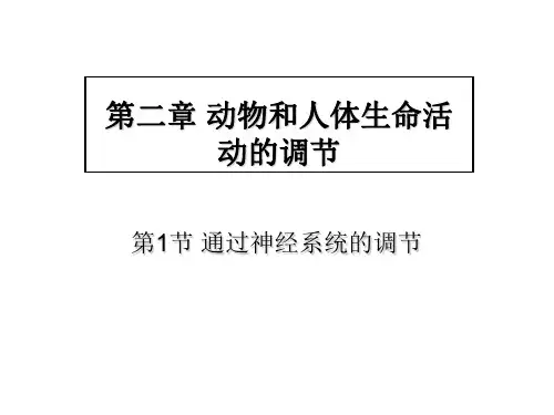 高中生物通过神经系统的调节课件