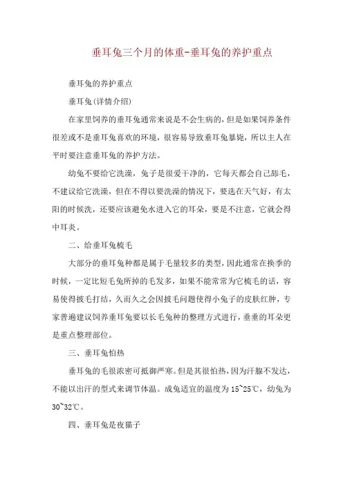 垂耳兔三个月的体重-垂耳兔的养护重点
