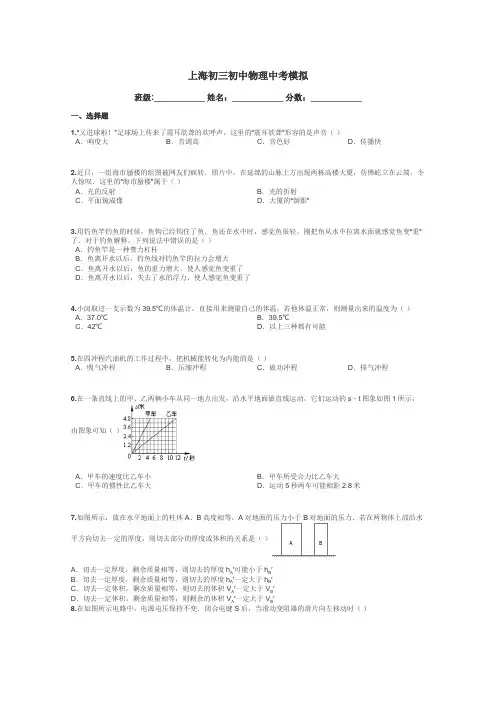 上海初三初中物理中考模拟带答案解析
