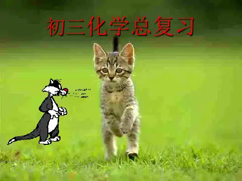 初三化学总复习PPT课件 人教版