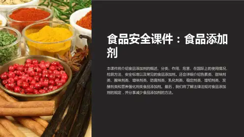 《食品安全课件：食品添加剂》