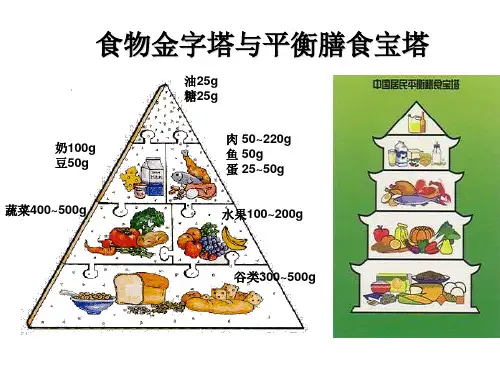食物金字塔与平衡膳食宝塔