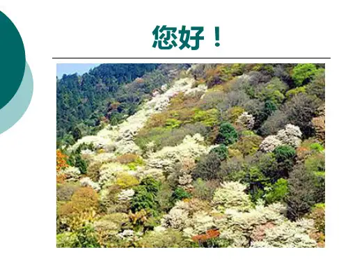 宗教学原理