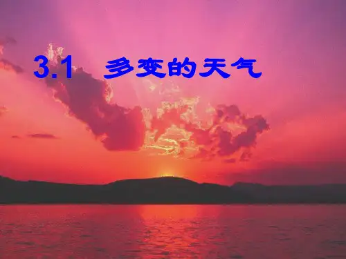 3.1多变的天气--茶中版