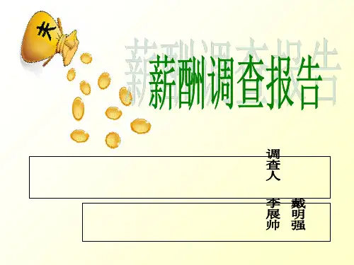 薪酬调查报告(共31张PPT)