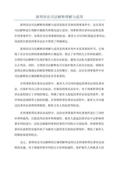 新刑诉法司法解释理解与适用