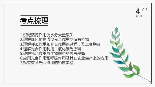 植物的三大生理作用专题复习