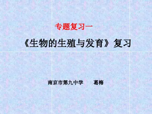 初中生物中考专题复习PPT课件 人教版