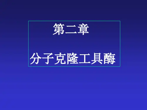 第二章：分子克隆的工具酶