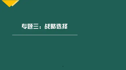 战略专题知识点内容细讲3.专题三 战略选择-战略