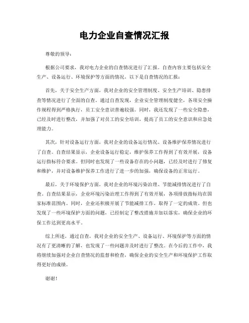 电力企业自查情况汇报