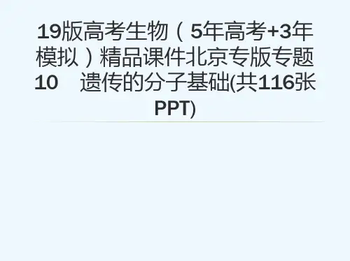 19版高考生物(5高考+3模拟)精品课件北京专版专题10 遗传的分子基础(共116张PPT)[可修改