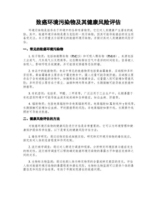 致癌环境污染物及其健康风险评估