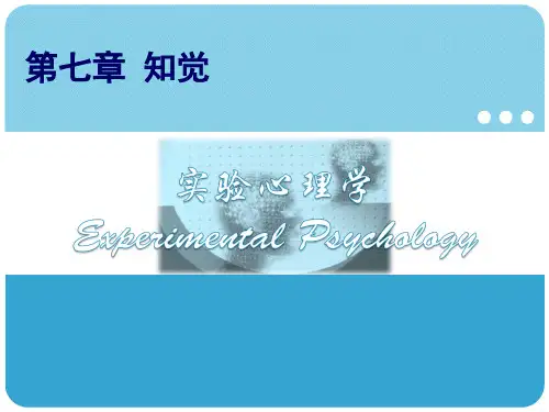 实验心理学《知觉》课件