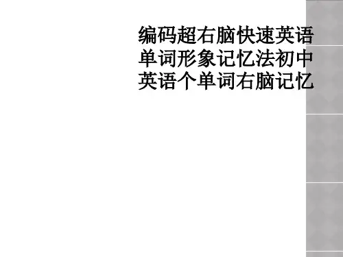 编码超右脑快速英语单词形象记忆法初中英语个单词右脑记忆