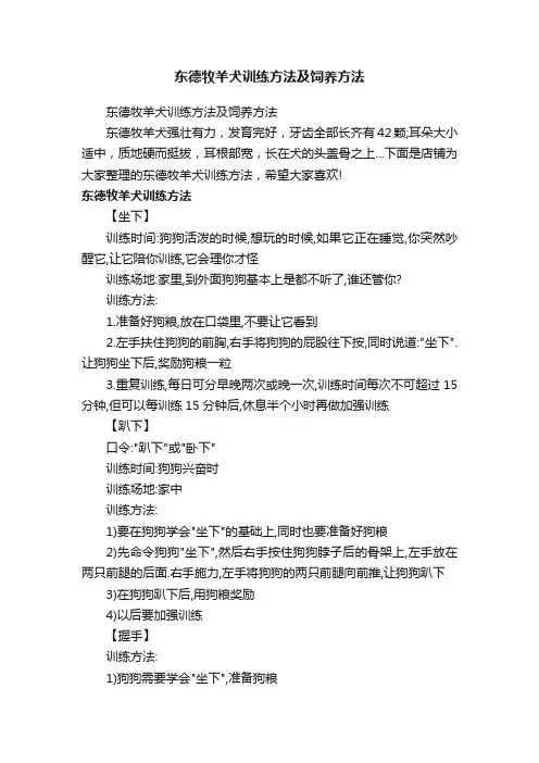 东德牧羊犬训练方法及饲养方法