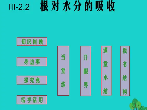 八年级生物上册 第三单元 第二章 第二节 根对水分的吸收课件 冀教版