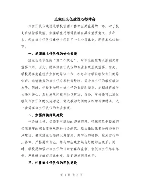 班主任队伍建设心得体会