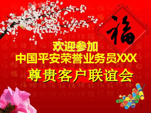 个人产品说明会PPT课件