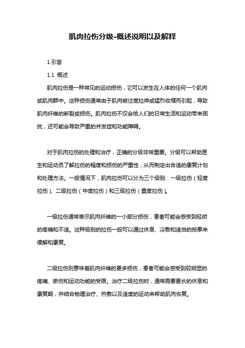 肌肉拉伤分级-概述说明以及解释