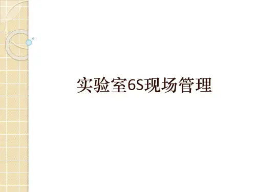 实验室6S现场管理培训课件