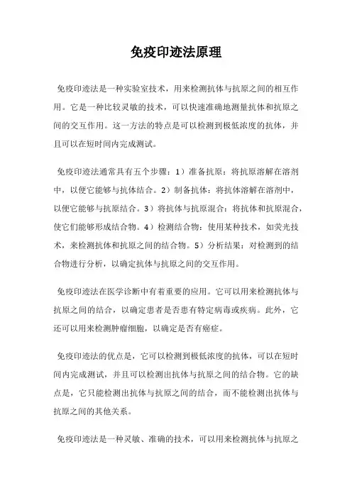 免疫印迹法原理