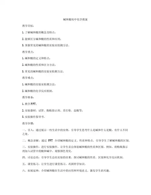 碱和酸初中化学教案