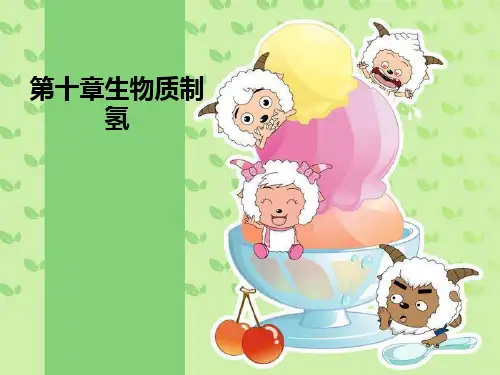 第十章生物质制氢最全PPT