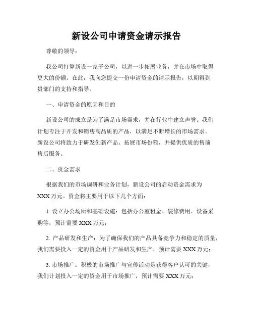 新设公司申请资金请示报告